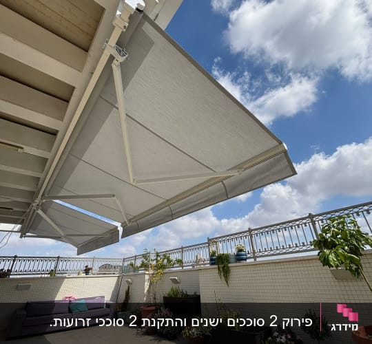 מרפסת עם סוכך פתוח וצמחים מסביב